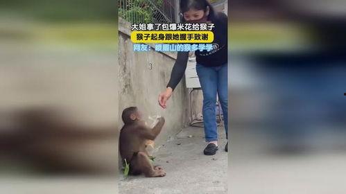 网友爆料瘦猴子视频下载,瘦猴子视频下载攻略大揭秘！  第1张