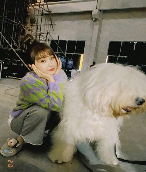 娱乐小爆料虞书欣,揭秘明星背后的故事  第2张